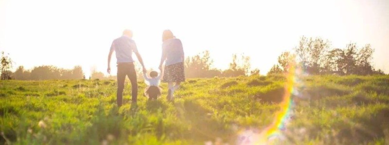 分类： <span>家庭</span>