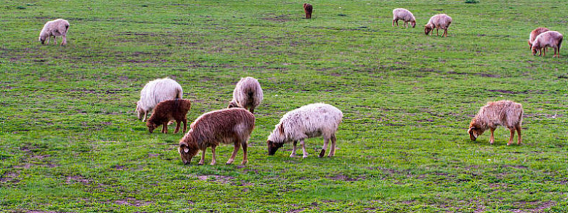 分类： <span>生命</span>