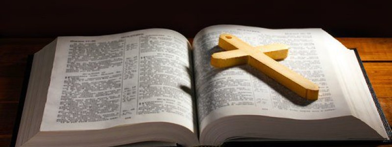 分类： <span>圣经金句</span>